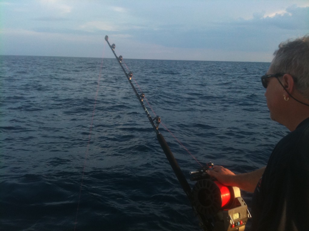 Tips for Catching BlueLine or Grey TileFish off of South Florida