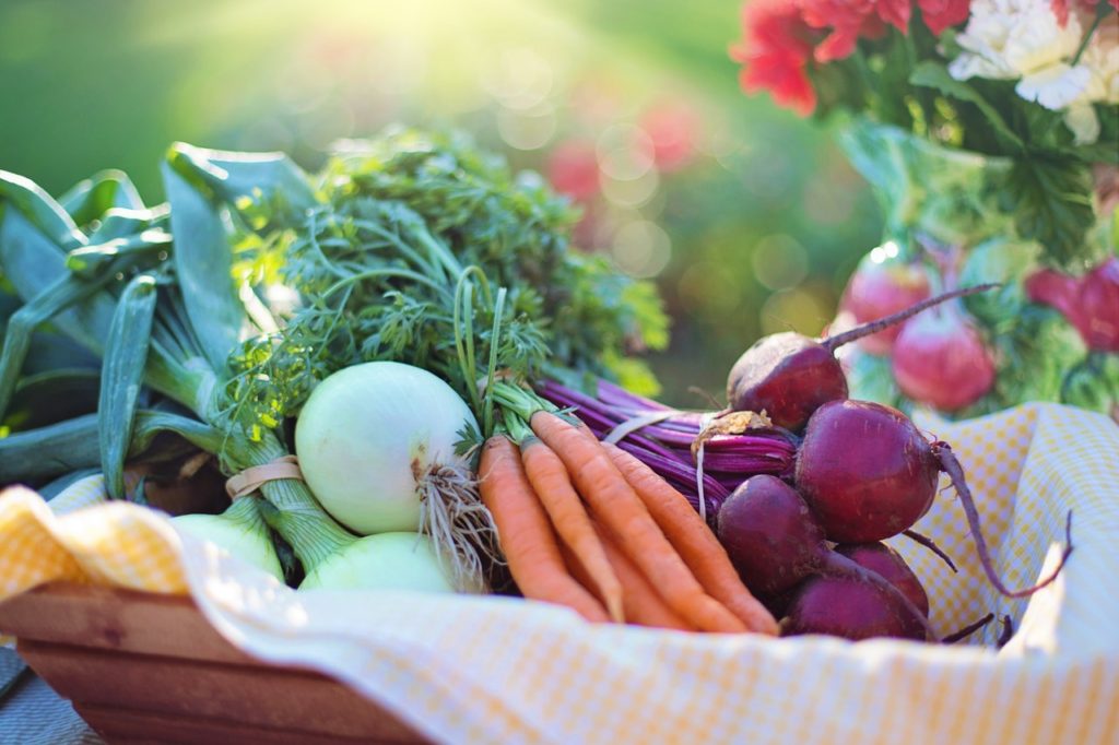 How to Grow Your Own Vegetable Garden